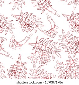 Hand drawn realistic rowan tree leaves and berries seamless background. Floral botanical endless texture. Ashberry pattern. Black and White. Flora illustration drawn in vector by hand