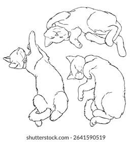 Hand drawn realistic sketch of sleepy kittens. Poses of cute cats sleeping.