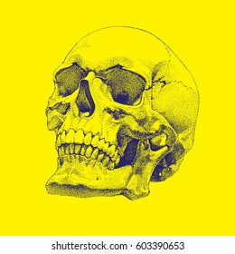 Hand Drawn Realistic Skull. Dotted Technique. Silhouette on Bright Yellow Background. Hyperrealistic Vector Design. Human Bone. EPS 10.