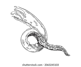 Hand drawn realistic vector illustration of single octopus tentacle isolated on white background. Ink sketch of ocean monster part.