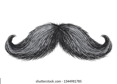 Hand drawn realistic vector vintage retro mustache isolated.