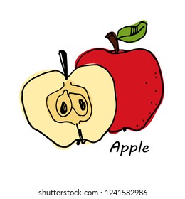 Hand drawn Red Apple isolated on white background. vector illustration.