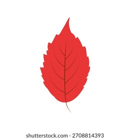 Folha de outono vermelha desenhada à mão isolada sobre fundo branco. Ilustração vetorial. Lindo folhagem de queda