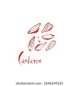 Vagens de cardamomo vermelho desenhado à mão e sementes com letras modernas sobre fundo branco perfeito para embalagem e decoração de parede de cozinha