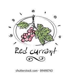 hand drawn red currant in vignette