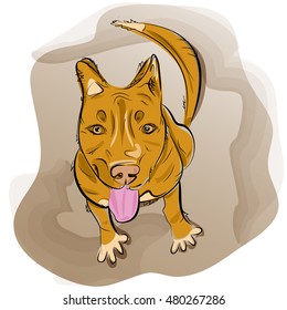 Hand drawn of red dog sitting and smile. Sketch