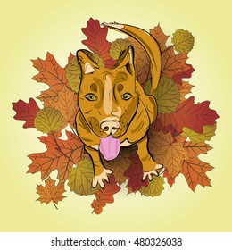 Hand drawn of red dog sitting on the autumn leaves and smile. Sketch