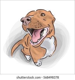Hand drawn red dog sitting and smile