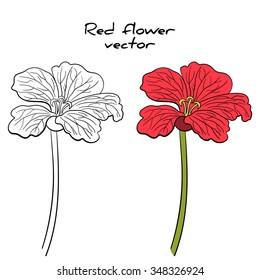 Hand drawn red flower on the white background. Vector illustration.