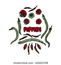 Hand drawn red and green pepper vector illustration. Typography design elements for prints, cards, posters, products packaging, branding.