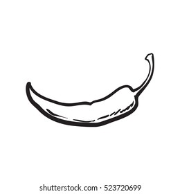 Hand drawn red hot chili pepper, black and white sketch style vector illustration isolated on white background.