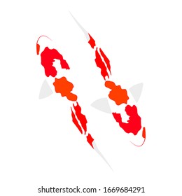 Hand drawn red koi fish vector in the dominant red and white colour of koi. Its a KOHAKU variety of koi fish. There are two koi fish in this vector image.