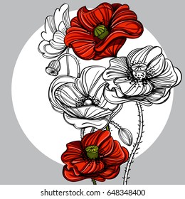 Hand drawn red poppies. Floral design element. Vector illustration for posters, banners, greeting cards and other items.