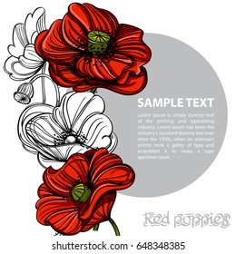 Hand drawn red poppies. Vector illustration with space for text. Floral design element for banners, posters, greeting cards and other items.