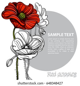 Hand drawn red poppies. Vector illustration with space for text. Floral design element for banners, posters, greeting cards and other items.