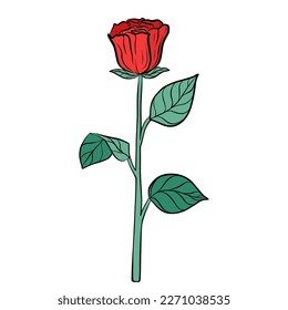 Hand drawn red rose flower isolated on white background. Botanical decorative doodle sketch illustration for greeting card, wedding invitation, fabric. Colorful vector floral element.