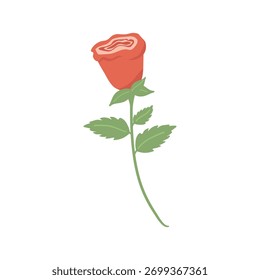Flor de rosa roja dibujada a mano en el tallo con hojas verdes dentadas. Colorido Clipart de flores de Vector plano para tarjeta, logotipo, diseño. Aislado en el fondo blanco