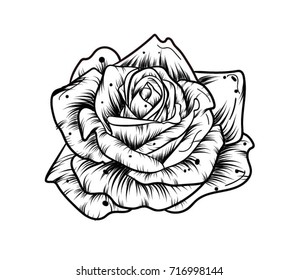 Hand drawn red rose on white background. Vector illustration. Vintage tattoo style rose. Idea for business visit card, typography vector.Print for t-shirt