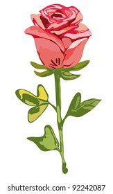 Hand drawn red rose. Valentine's element