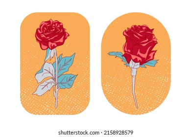 Hand drawn red roses flower cartoon set