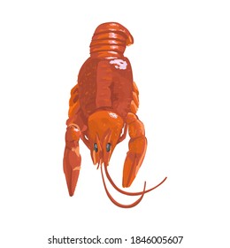 Hand drawn red sea crayfish, vector lobster illustration for restaurant, cafe