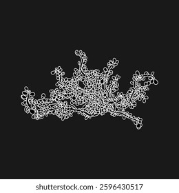 Hand drawn red sea grapes seaweed algae graphic illustration. Natural drawing