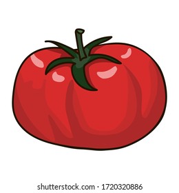 Handgezeichnete rote Tomate. Vektorkartoontomate