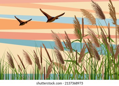 Hand drawn reed or pampas grass and flying ducks.
Cane silhouette on colored background. 
Border of green plants.