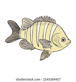 Hand drawn Reef Tropical Fishes. Sea and Ocean Animals Vector Clop art. Vector illustration