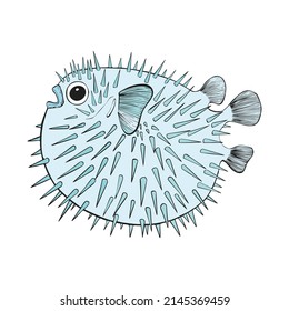 Hand drawn Reef Tropical Fishes. Sea and Ocean Animals Vector Clop art. Vector illustration