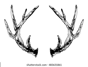 Similar Images, Stock Photos & Vectors of Hand drawn reindeer antlers ...
