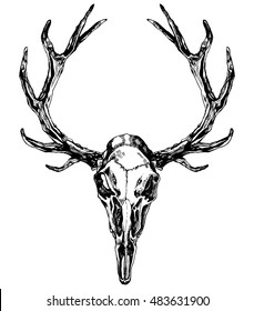 Hand drawn reindeer skull with antlers. Vector ink illustration isolated on white background. Boho, grunge, rustic style. Prints, posters, t-shirts and textiles