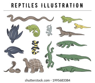 hand drawn reptiles illustration set