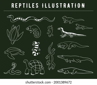 hand drawn reptiles illustration set