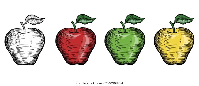 Hand Drawn Retro Apples. Isolated on White Background. Hand drawn Vector apples set. Outline style Black and White and color apples. Doodle drawn retro style apple fruits Healthy Fruit Illustration