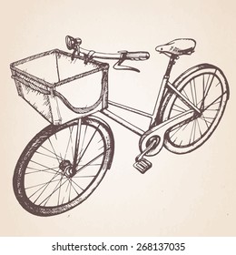 Hand drawn retro bicycle. Vector.