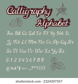 Hand drawn retro calligraphy monoline alphabet design. Vintage typeface. Handwritten brushpen font with latin lettersand signs ink painted script. Perfect for lettering design posters