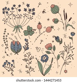 hand drawn retro garden flowers and herbs with doodle stars and sparkles 