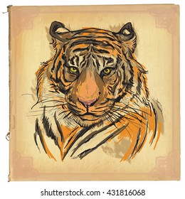 An hand drawn retro vector illustration, colored line art. Freehand sketch of Tiger head.Hand drawing is editable in layers and groups.Background is isolated.Vintage processing on old paper background