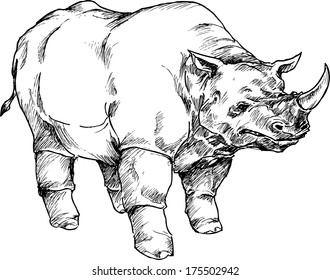 hand drawn rhino