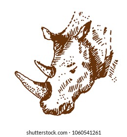 Hand drawn rhino, rhinoceros. Sketch, vector illustration.
