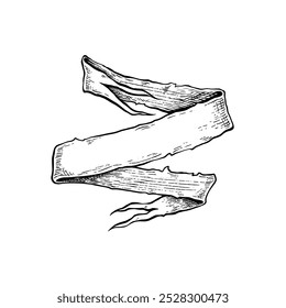 Hand drawn ribbons vintage. Vintage style black color sketch. Isolated elements. Vector illustration