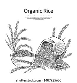 Hand drawn rice background. Rice sack, bowl and ears vector illustration