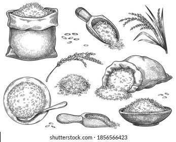 Handgezeichnetes Reismehl. Retro-Gravur von Getreidekörnern aus Weizen, Roggen, Gerste, Basmati oder Jasminreis. Körner in Sack und Bruchkorb, Vektorset. Illustration Reisgrabmehl, Samen von Sammelhefen