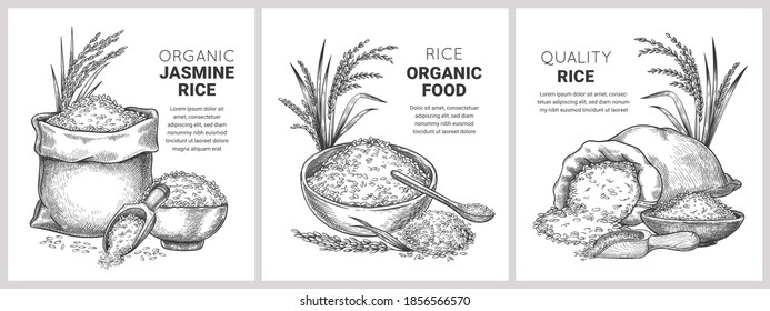 Hand drawn rice label. Retro sketch organic cereal grains in bag and bowl. Farm basmati wild jasmine rice. Vector flour packages concept. Illustration basmati organic rice, nutrition uncooked banner