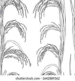 Hand drawn rice plants. Vector  seamless pattern 