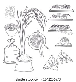 Hand drawn rice set. Vector sketch  illustration.
