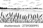 Hand drawn of ripe wheat field under cloudy sky with distant trees and cultivated land