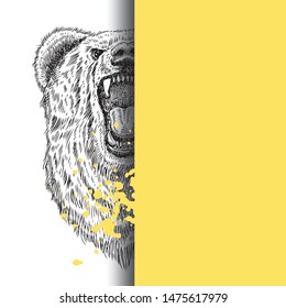 Hand drawn roaring bear head, vector