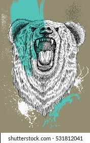 Hand drawn roaring bear with splash watercolour, bear head, vector